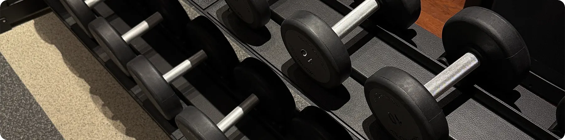 LIONNE | CONCEPTO LIONNE | MARIAJOSE | MJ | MJ LIONNE |GYM | ENTERNAMIENTO