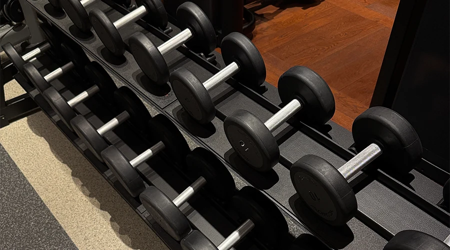 cora-pursley-dupe(4) - Concepto Lionne LIONNE | CONCEPTO LIONNE | MARIAJOSE | MJ | MJ LIONNE |GYM | ENTERNAMIENTO